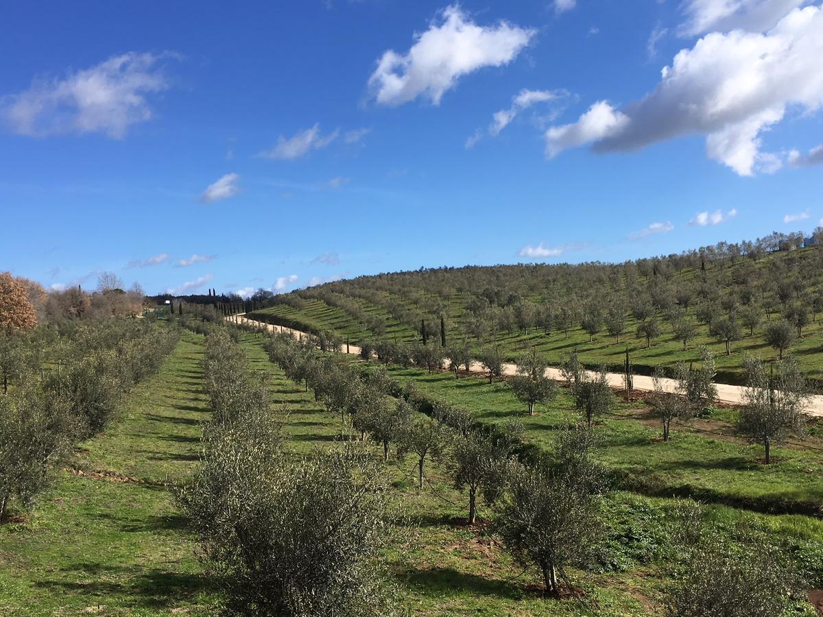 Il Podere Di Marfisa Farnese Exteriér fotografie